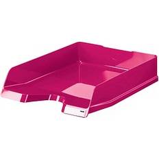 Roze Wanddecoraties HAN Brievenbak VIVA A4/C4 New Colours Rose