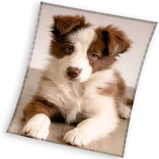 Hund Coral Fleecefilt