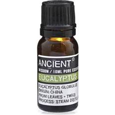 Ancient Wisdom 10 ml Eucalyptus Essential Oil