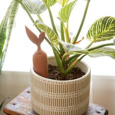 Orange Vandkander Kikkerland Terracotta Watering Stake