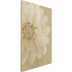 Acoustic Panels Holzbild Dahlie Weiß Pastell Sandfarben