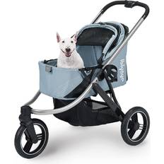 The Beast Dog Buggy
