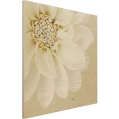 Pannelli Acustici Impression sur bois Dahlia Blanc Couleurs Pastel Sable