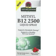 Vitamins & Supplements Nature's Answer Methyl B12 Liquid Spray 2500 mcg