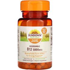 Sundown Naturals Methylcobalamin B12 Support, Vegetarian, Non-GMO, Gluten, Dairy, 5000