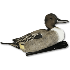 Kæledyr Avian-X Spidsænder 6 stk
