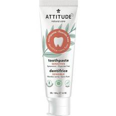 Attitude Adult Toothpaste Fluoride Free Sensitive Spearmint