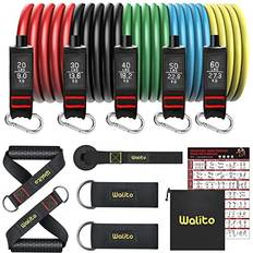 ALalito Resistance Bands Set 250LBS Exercise Resistance Bands with Handles, 5 Tube Fitness Bands with Door Anchor, Elastic Bands for Exercise, Physical Therapy, Home Workout
