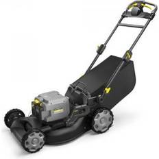 LM 530/36 BP 36V