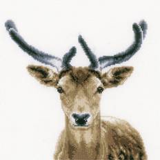 Vervaco deer cross stitch kit