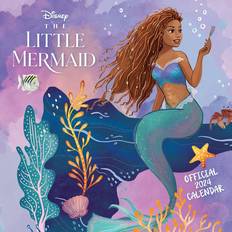 Danilo 2024 The Little Mermaid Movie