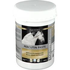 Equistro Percutin Paste äußerlich vet. kg