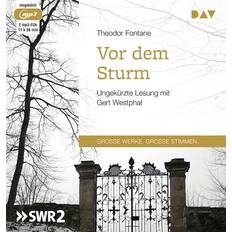 PC-Spiele Theodor Fontane. Vor dem Sturm. 2 MP3-CDs.