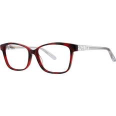 Briller & Læsebriller Vera Wang Evonne Scarlet