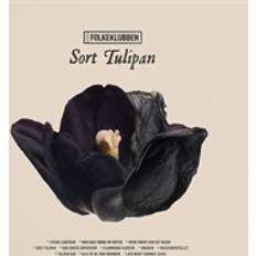 Sort Tulipan Folkeklubben (Vinyl)