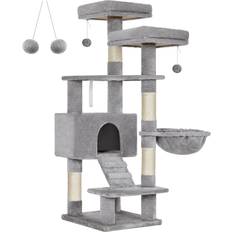 cat tree, cat