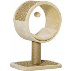 Pets Pawhut 56cm Small Cat Tree For Cats With Scratching