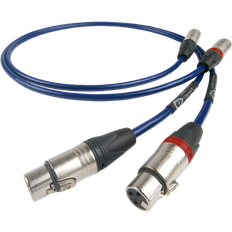 ClearwayX Aray 2XLR - 2XLR M-F