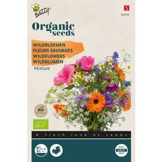 Seeds Økologisk, Blomsterblanding frø, Vilde