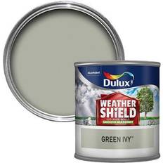 Paint B&Q All Weather Protection Smooth Masonry Ivy Green