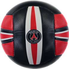 Paris Saint-Germain Volley Ball