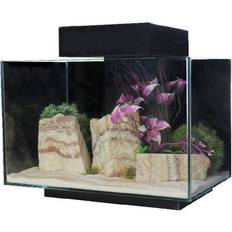 AquaOne Platform 21 21L Fish Tank