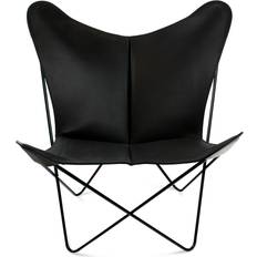 Trifolium Black
