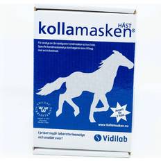 Vidilab Kollamasken Horse