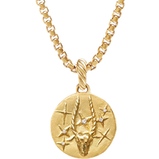 David Yurman Capricorn Amulet Necklace - Gold/Diamonds