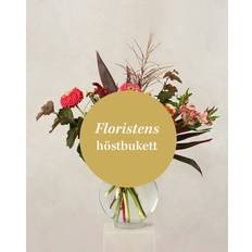 Interflora The Florist's Autumn