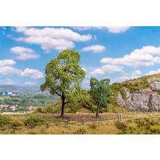Hornbeam & Sycamore Maple 181800