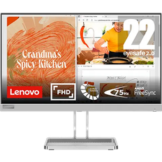 Lenovo L22i-40
