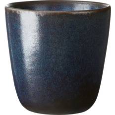 aida Raw Mugg 30cl