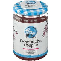 Kombucha Kombucha teepilz 1 pzn 1688955