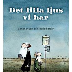 Det lilla ljus vi har (Häftad)