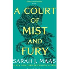 A Court of Mist and Fury (Heftet, 2020)