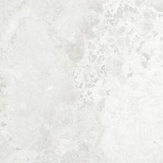 Fliser & Klinker Fenice Amazing, Bianco 60x60 Flis