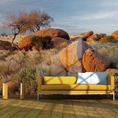 Artgeist Papier peint Paysage africain, Namibie-Taille L 400 x H 309 cm