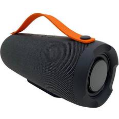 RED5 Wireless Boom Speaker