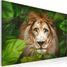 Artgeist Tableau Eyes Of The Jungle-Taille L 60 x H 40 cm Art encadré