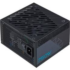 PSAZ-750G 750W