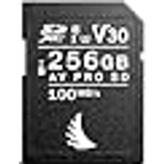 Hukommelseskort & USB Stik Angelbird SD AV PRO SDXC, SD 6.1, UHS-I, R100/W92 V30 256GB