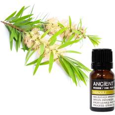 Essentiel Olie Niaouli 10 ml