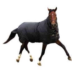 Trot Plus Turnout Rug with Detachable Neck, 350g Black/Black/Tan Brown unisex