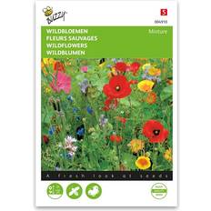 Blomsterblanding vilde blomster frø mix Blomsterfrø