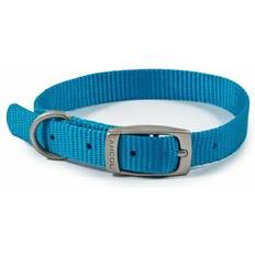 Ancol Viva Buckle Dog Collar 2 26-31cm