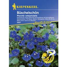 September Blumensamen Kiepenkerl Büschelschön