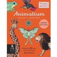 Animalium Junior Edition (Inbunden)