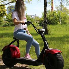 X-Pro Elscooters X-Pro Harleyscooter Fatboy 1500W red-metallic