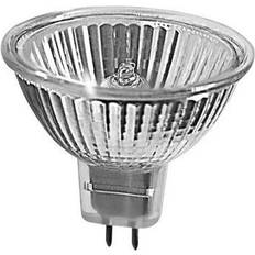 0305471PT Halogen Lamps 50W GU5.3 MR16